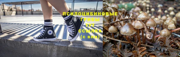 гашик Абдулино