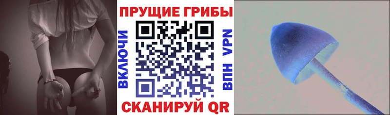 купить наркоту  Алагир  Псилоцибиновые грибы Psilocybe 